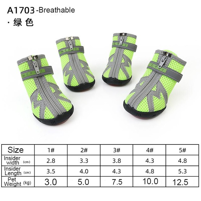 Hundeschuhe für heißen Asphalt