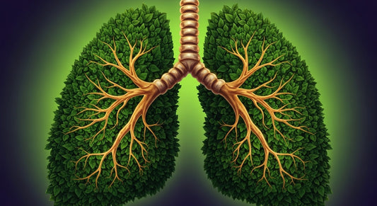 Bio-hacking your home: Integrating plants for optimal indoor air quality