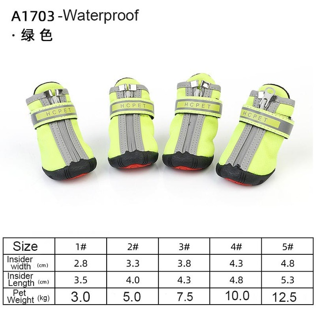 Hundeschuhe für heißen Asphalt