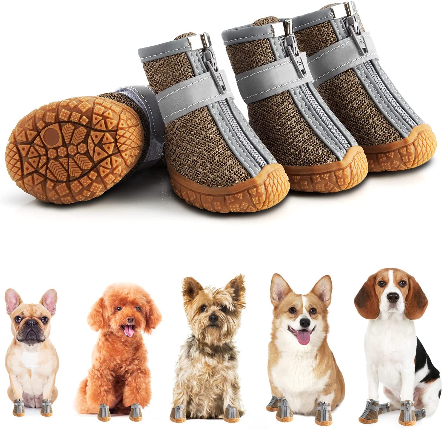 Hundeschuhe für heißen Asphalt