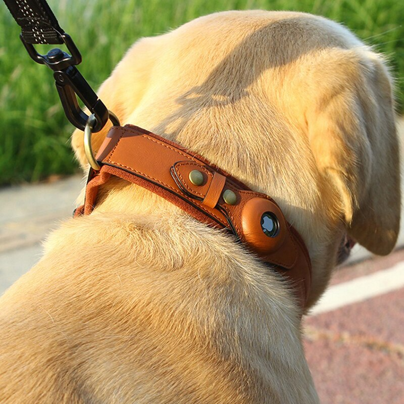 AirTag Hundehalsband aus Leder