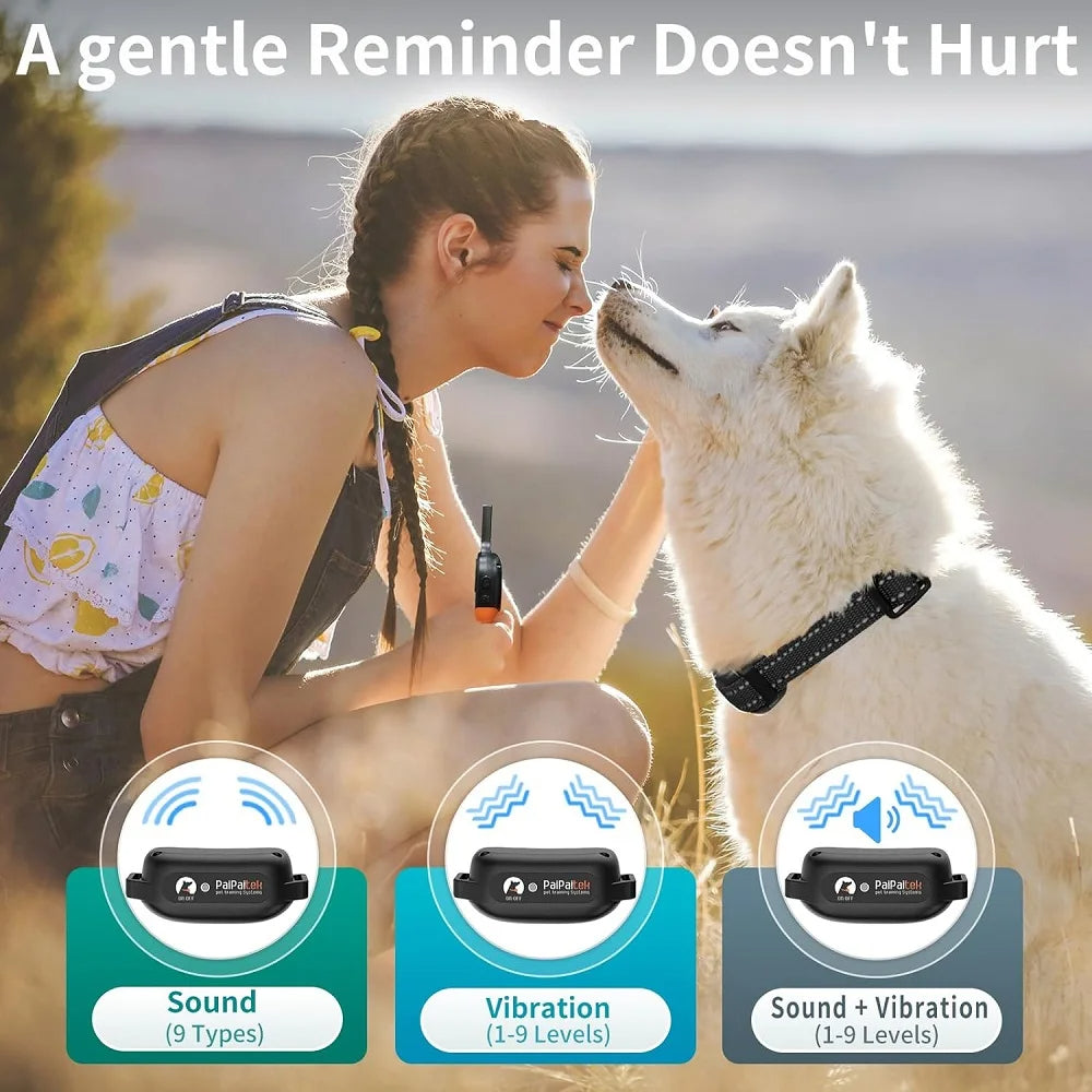 Hundeerziehungshalsband