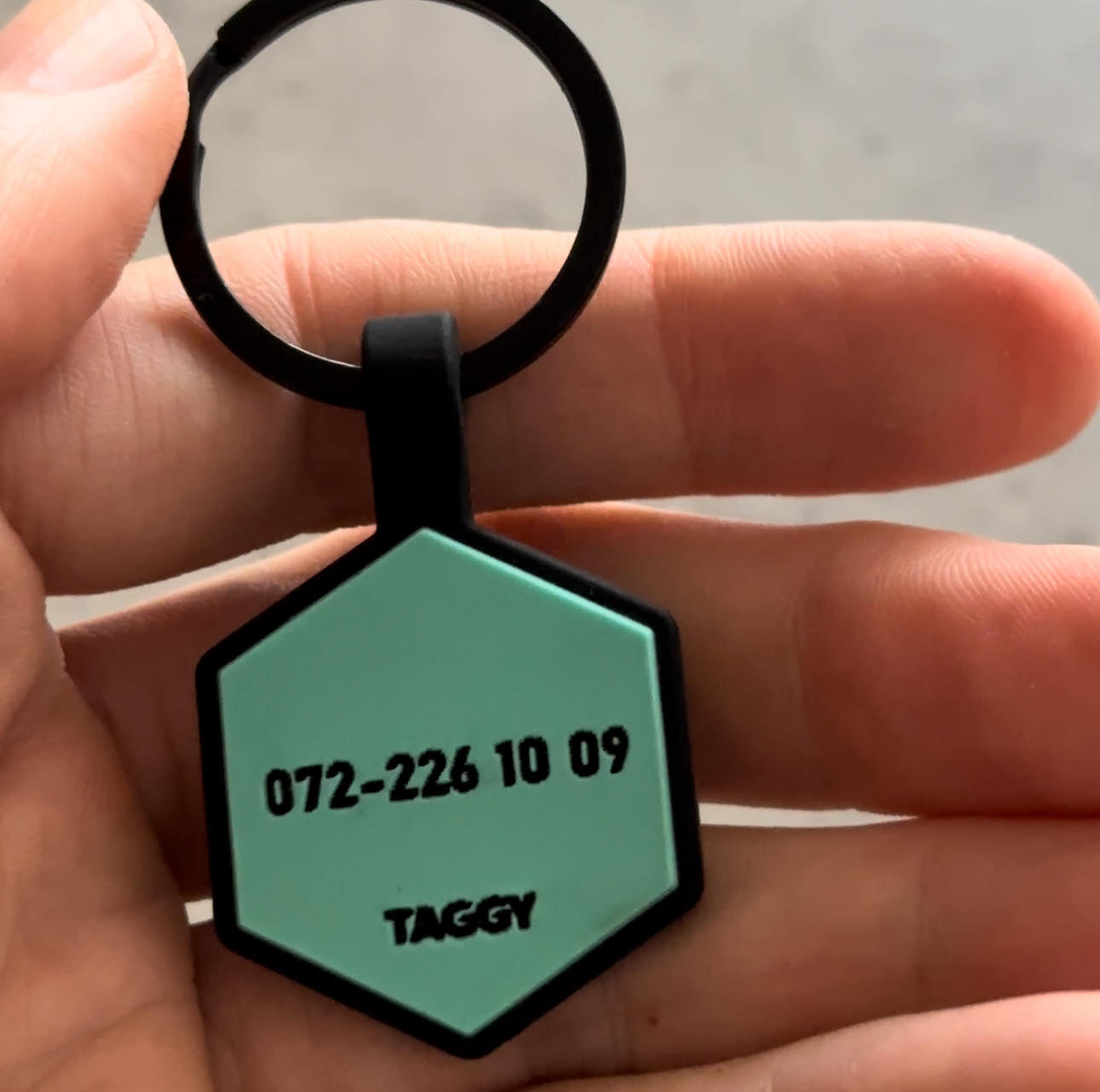 Vit/grön namnbricka till hund - Typsnitt Tea