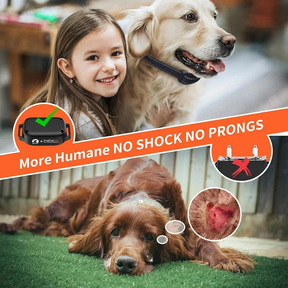 Hundeerziehungshalsband