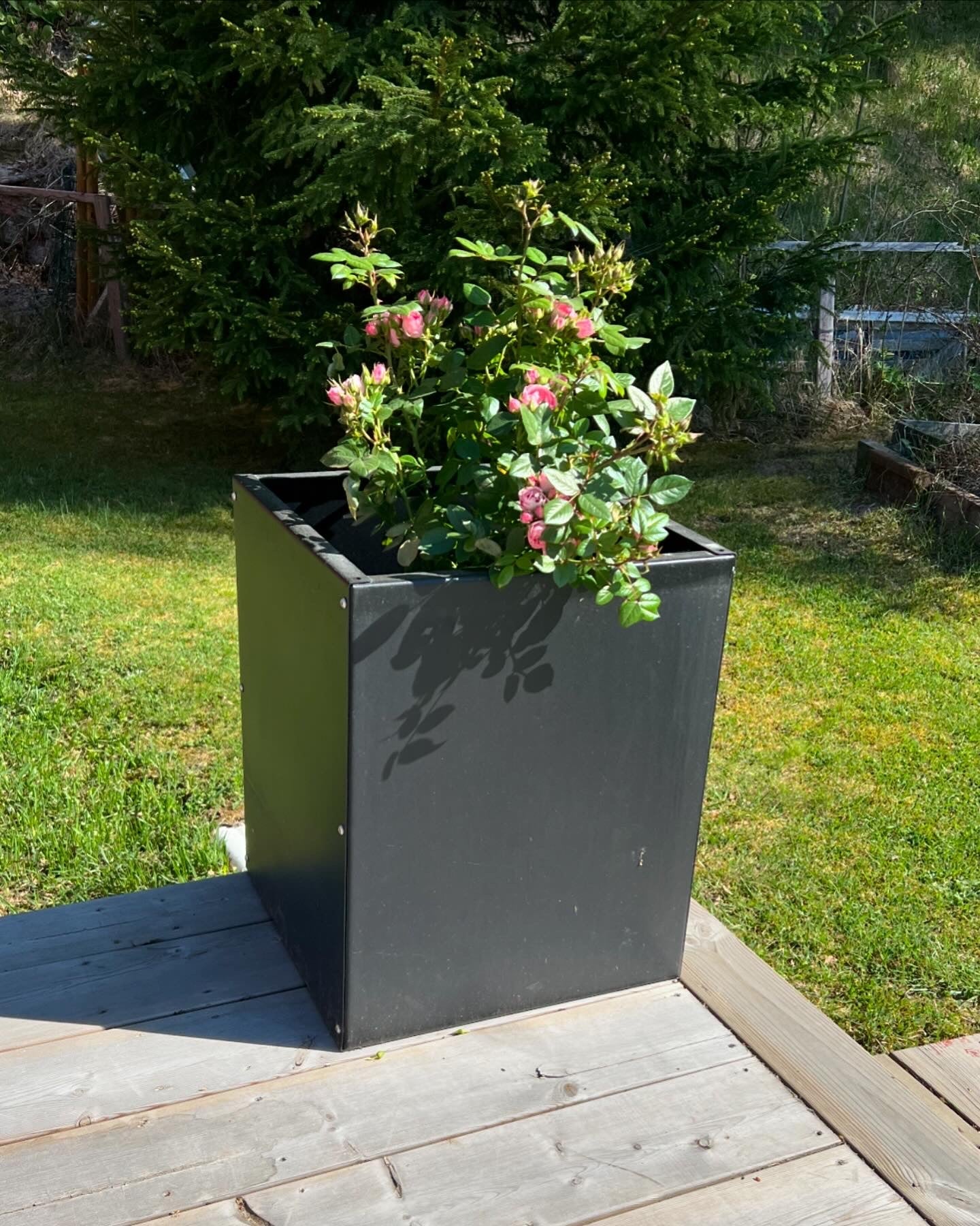 Odlingslåda - VÄXA - KUB (800x800mm)