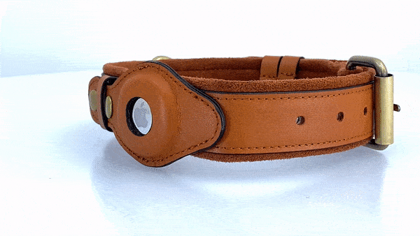 AirTag Hundehalsband aus Leder