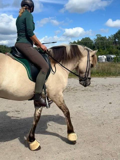 Ridstrumpa Allround Skogsgrön 75% Merinoull