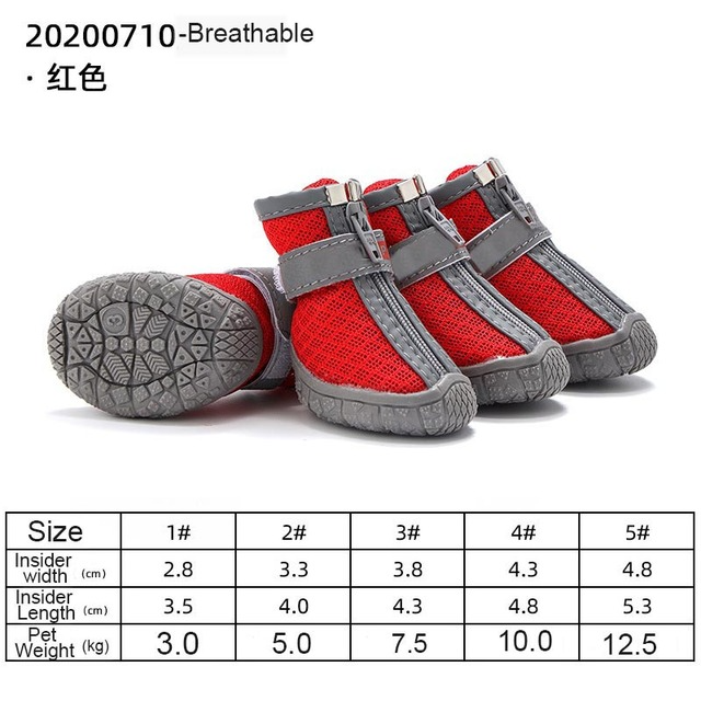 Hundeschuhe für heißen Asphalt