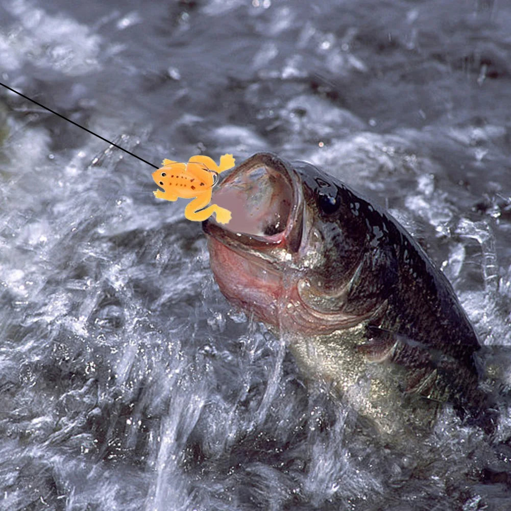 2024 Fishing Lure Advent Calendar – 24 Days of Poppers, Minnow & Crankbaits