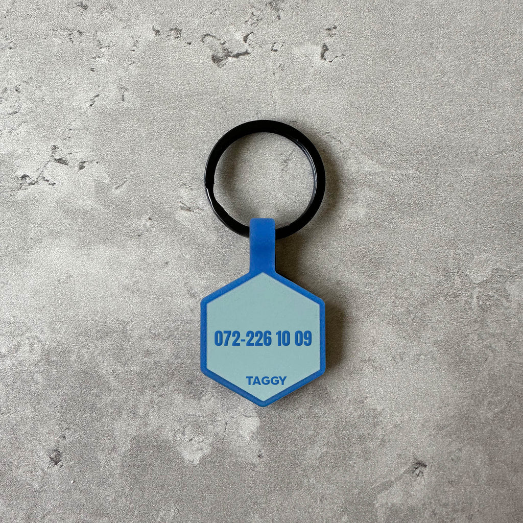 Blå namnbricka till hund - Typsnitt Tea