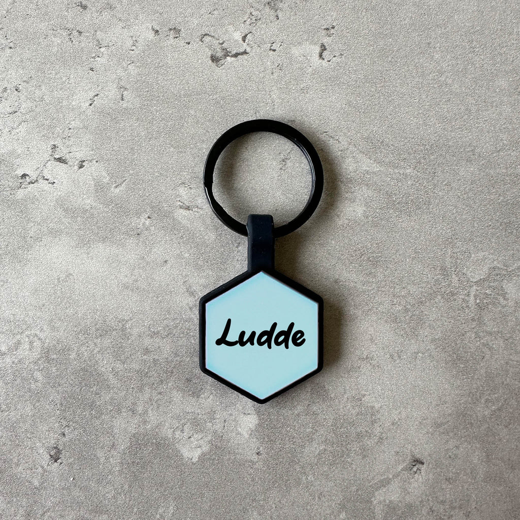 Ljusblå namnbricka bis hund - Typsnitt Tea