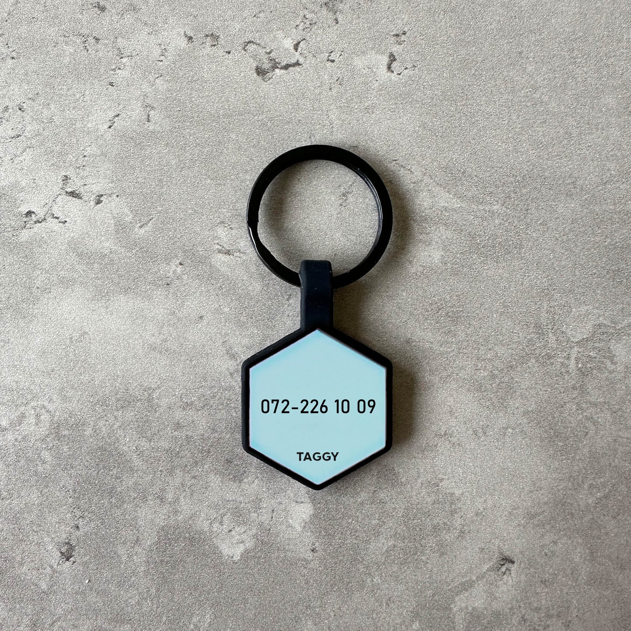 Ljusblå namnbricka to hund - Typsnitt Anton