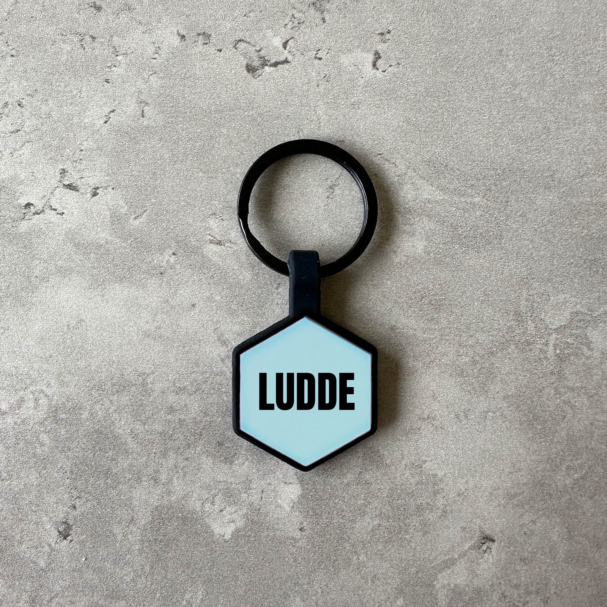 Ljusblå namnbricka to hund - Typsnitt Anton