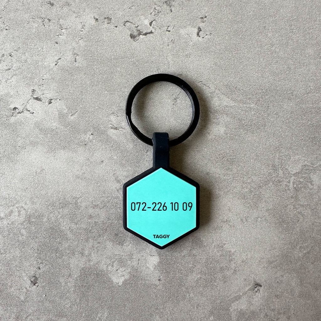 Turkos namnbricka bis hund - Typsnitt Anton