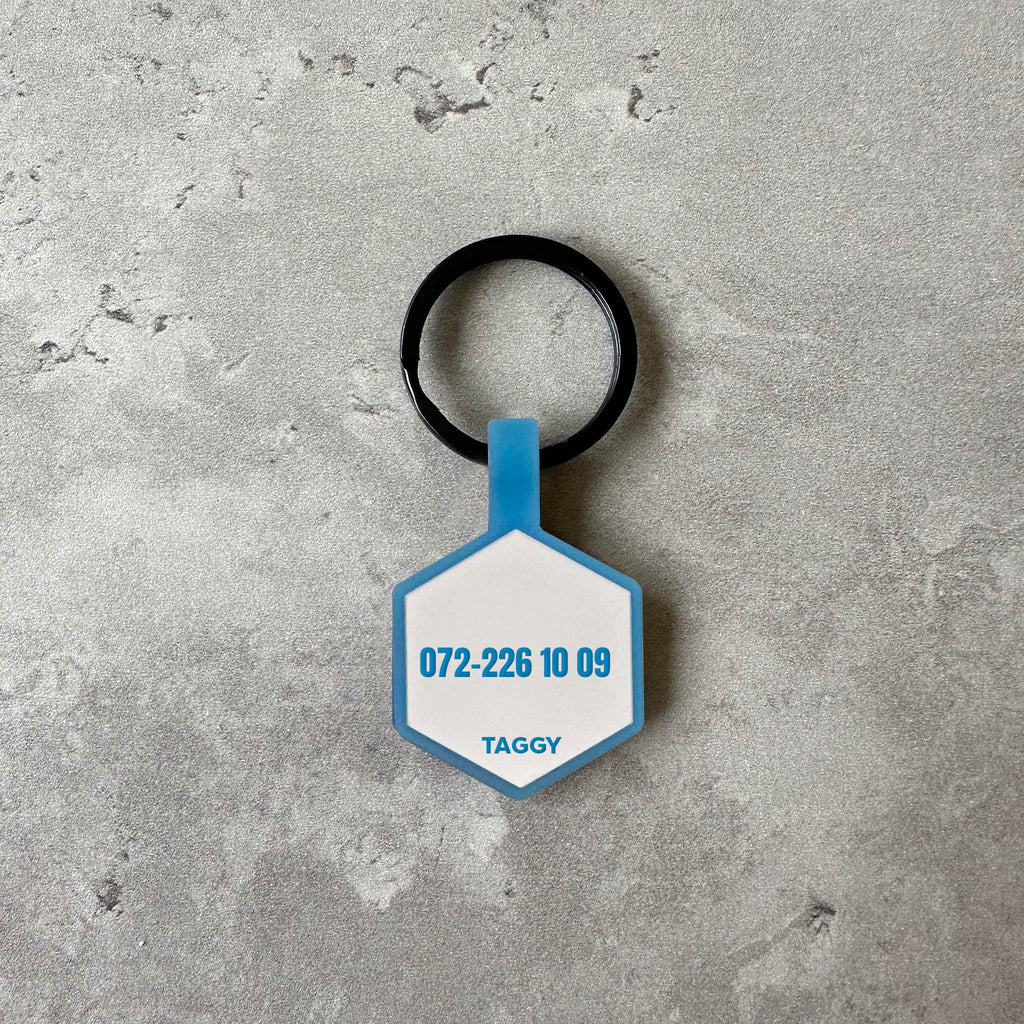 Vit/blå namnbricka till hund - Typsnitt Tea