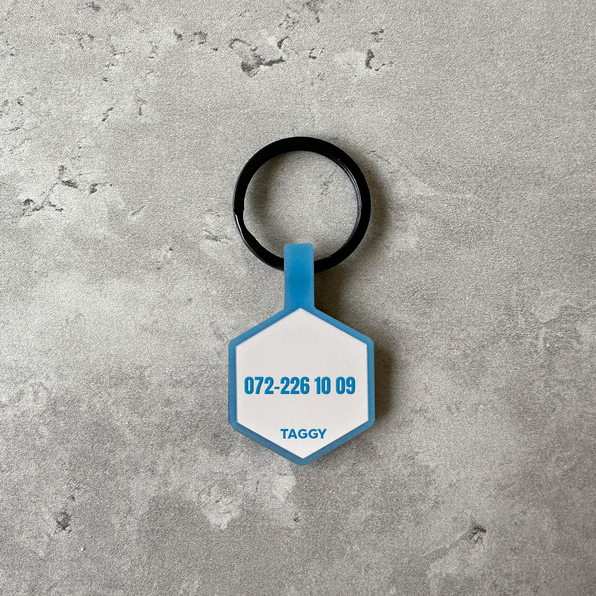 Vit/blå namnbricka till hund - Typsnitt Tea