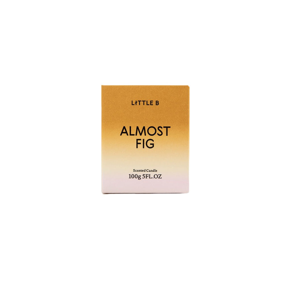 Almost Fig 100g Scented Candle-2