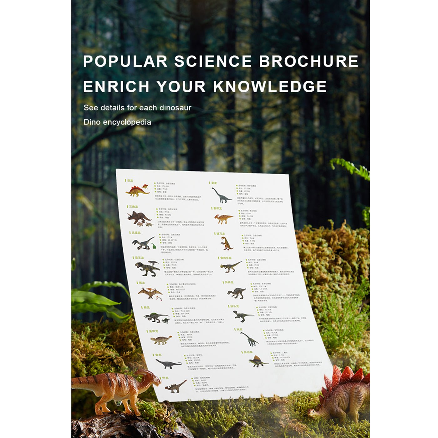 Dinosaur Toys Set 24pcs-3