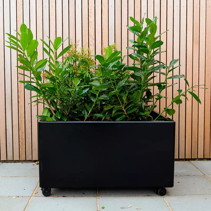 Bevattningsbotten inkl hjul till Odlingslåda