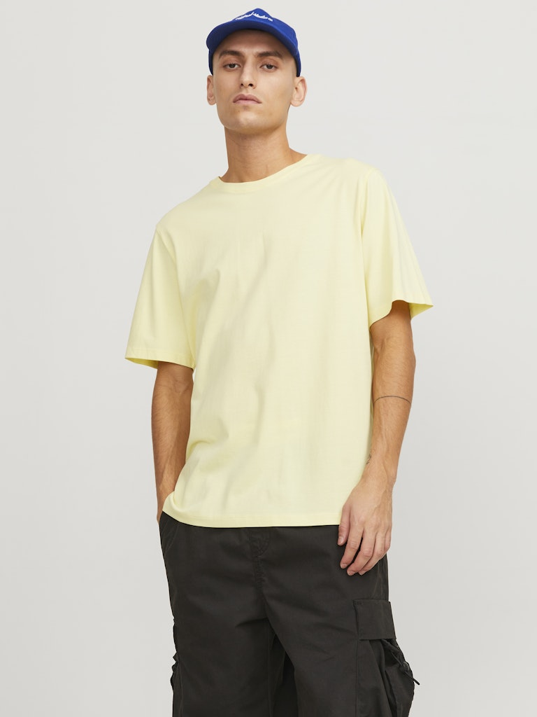 ORGANIC BASIC TEE SS O-NECK