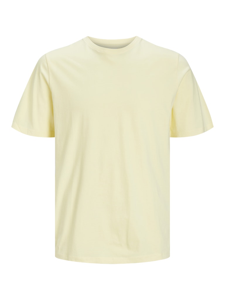 ORGANIC BASIC TEE SS O-NECK