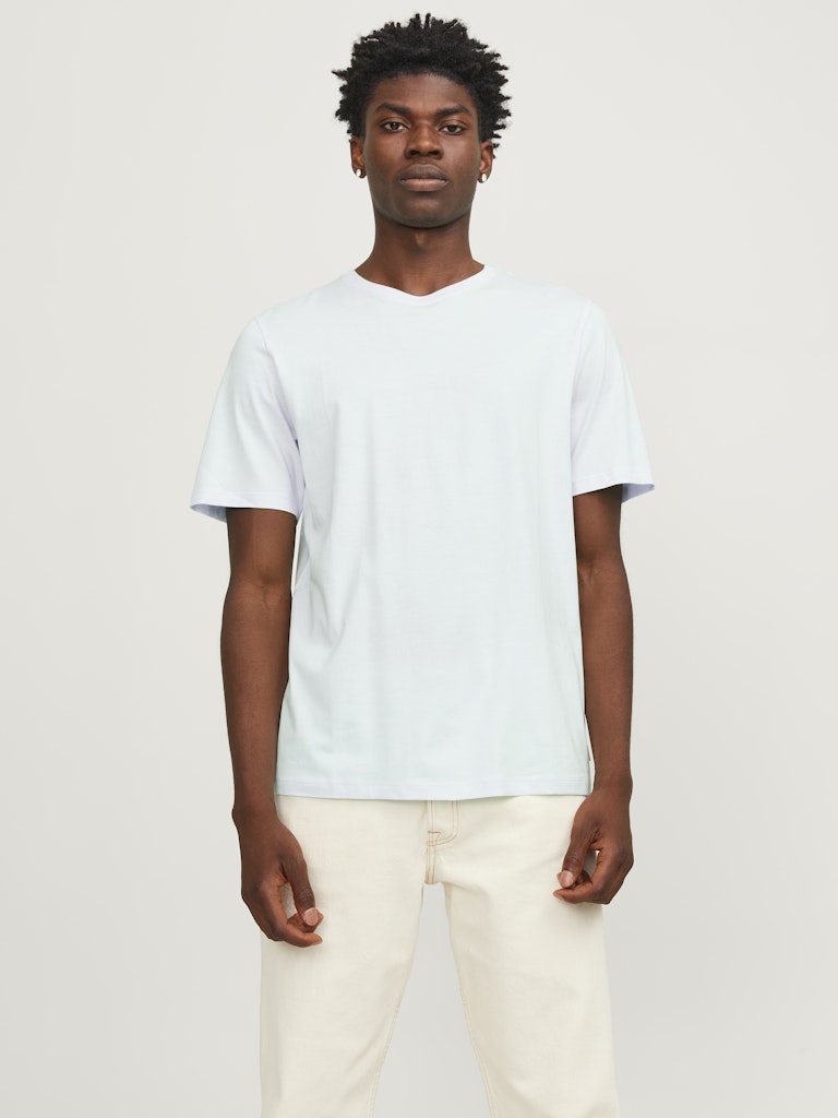 ORGANIC BASIC TEE SS O-NECK