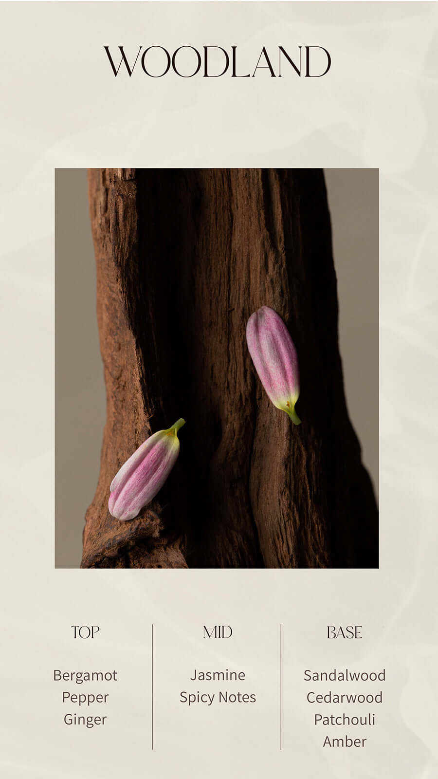 Sea Salt Glowing Body Scrub 200g-4