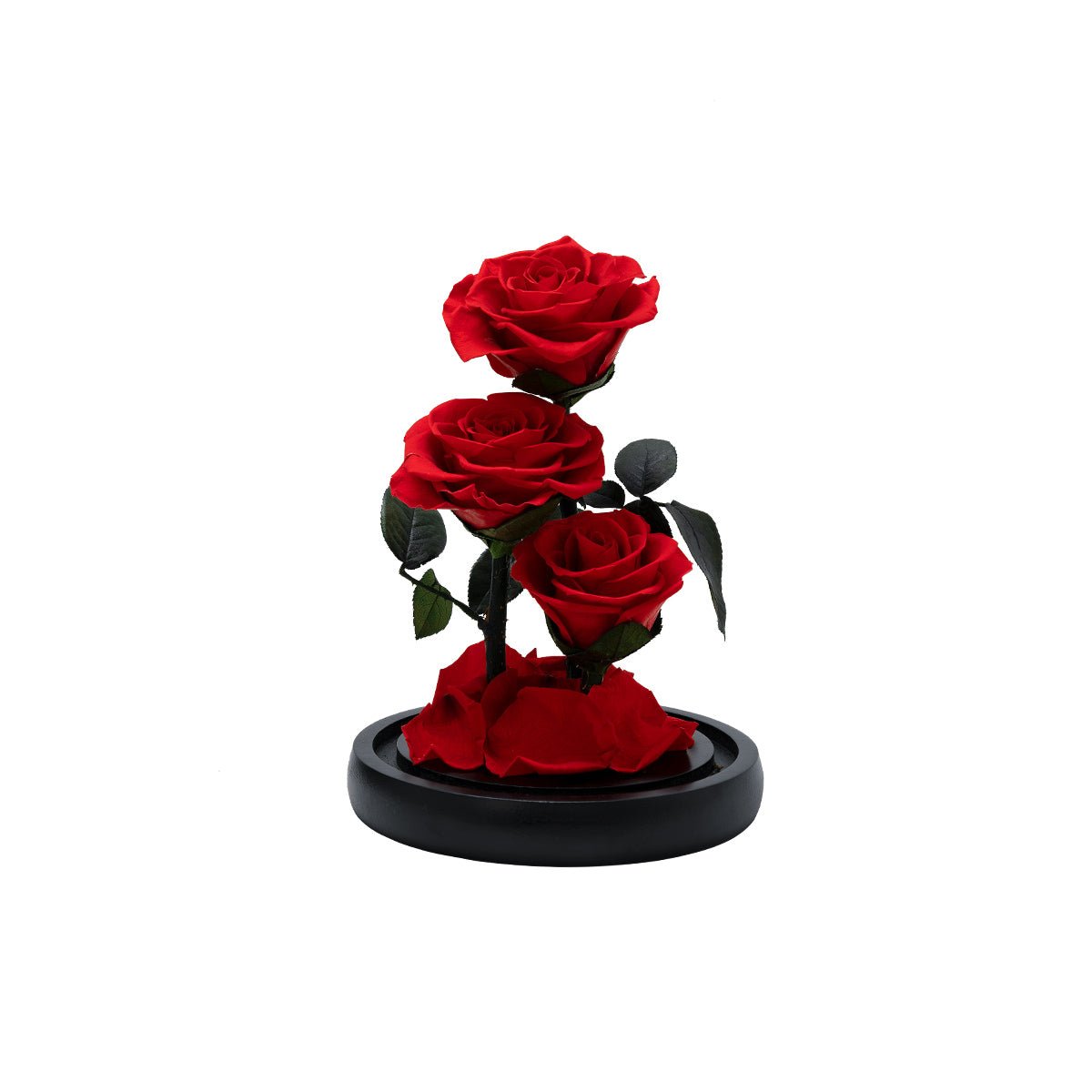 Three Lifetimes of Love in a Rose Box!-3