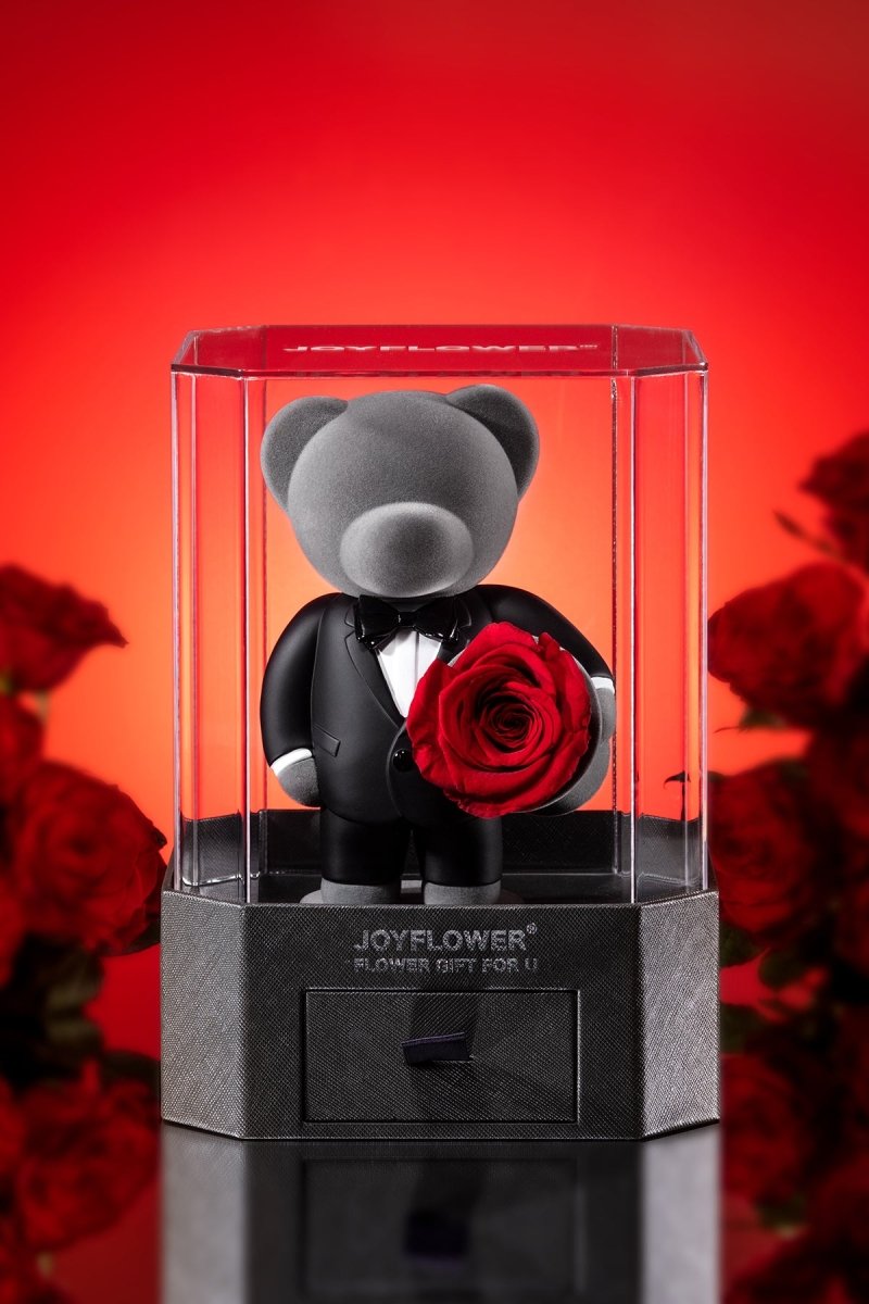 Enchanting Timeless Romance Teddy Promise-0